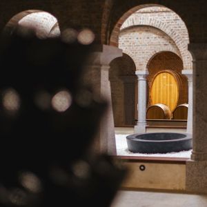 Weingut Schloss Gobelsburg