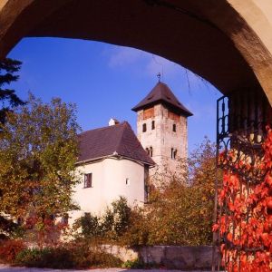 Burg Oberranna - Torbogen